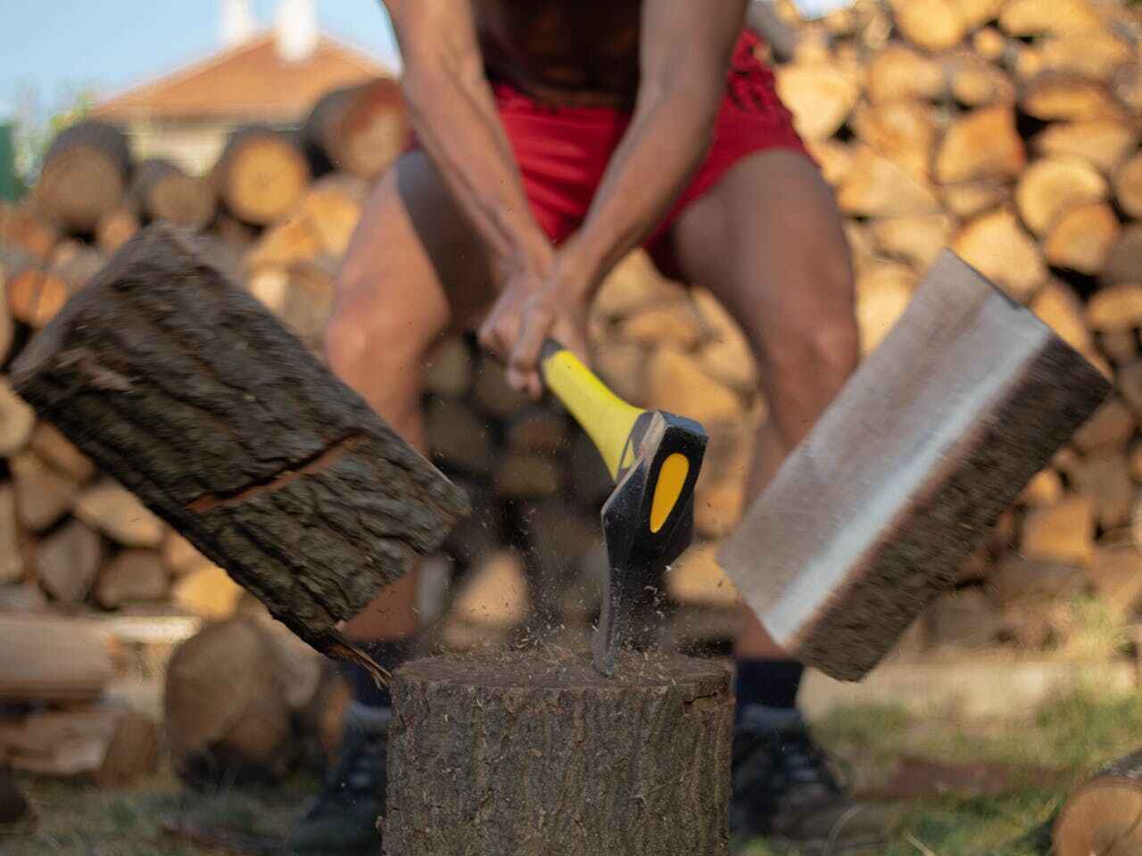 Best Dead Tree Removal  in USA